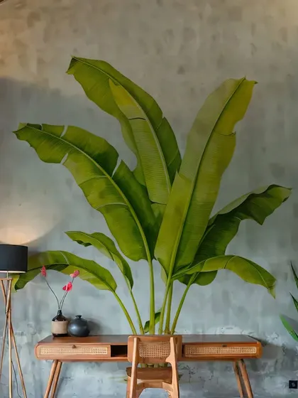 A single Tropical Banana Tree wall sticker creates a dramatic and artistic focal point in this room. It’s a bold design that brings the beauty of the tropics indoors.