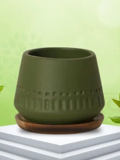 The Mini Malism Terracotta Pot in a rich Mehndi green color comes with a wooden plate. Its design is a perfect blend of traditional craftsmanship and minimalist style.