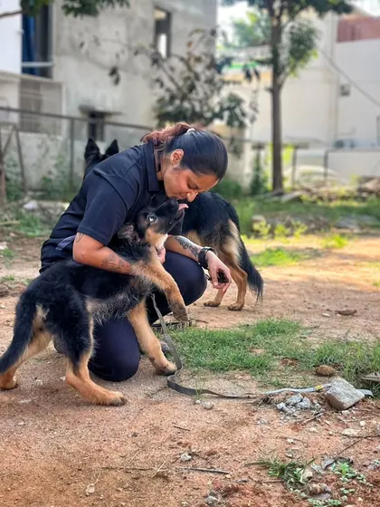 Sunday mornings are for socialization. Here, my demo dog Duggu is helping Zoey, a GSD puppy, feel more comfortable and confident in a new outdoor environment.