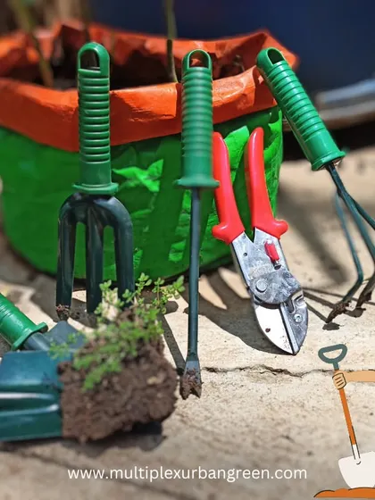 Having the right tools makes all the difference. Our collection of ergonomic and durable gardening tools, including trowels, cultivators, and pruners, makes tasks like planting and maintenance a breeze.