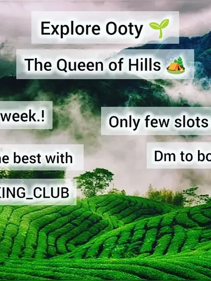 A promotional image for a trip to Ooty, the "Queen of Hills," set against a backdrop of lush tea plantations.