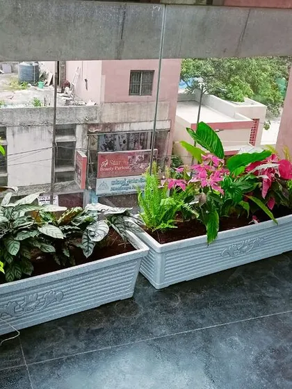 Our team at work, carefully arranging plants in the planters at Meena Regalia. We ensure every plant is perfectly positioned for optimal growth and visual appeal, bringing our client's vision to life.