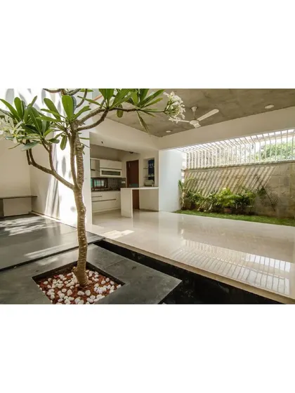 The kitchen and dining area in 'Cube Square' open directly onto a landscaped courtyard, blurring the lines between inside and out. The design uses a simple palette of polished floors, white walls, and natural wood to create a bright and airy atmosphere.