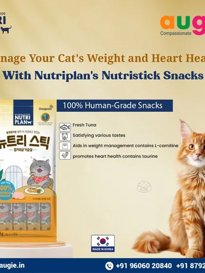 A healthy cat needs healthy treats. Nutriplan's Nutristick snacks are made from 100% human-grade fresh tuna and contain L-carnitine for weight management and taurine for heart health.