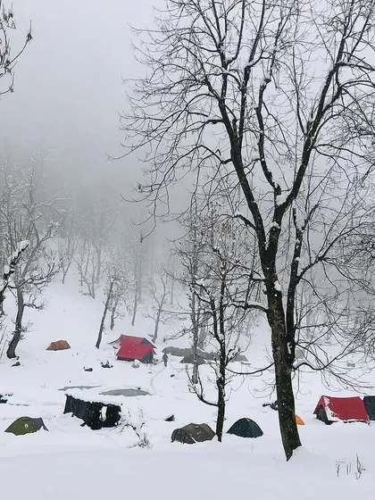A wider view of a campsite in a snowy, misty forest. The bare trees and scattered tents create a stark, beautiful, and atmospheric scene.