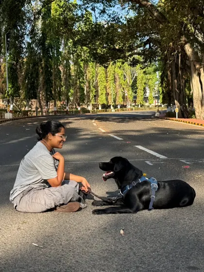 Sometimes the most important training happens in the quiet moments between commands. Sitting here with this beautiful Labrador, just sharing a calm space, reinforces the trust and connection that makes all other training possible. This is what it's all about.