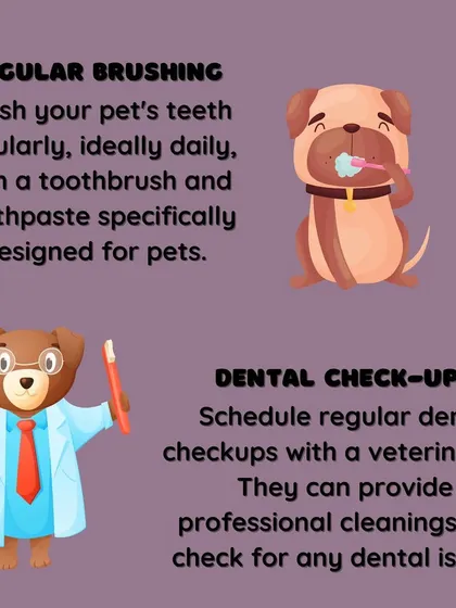Dental health is key. Regular brushing with pet-specific toothpaste and scheduling professional check-ups are fundamental for your pet's overall well-being.