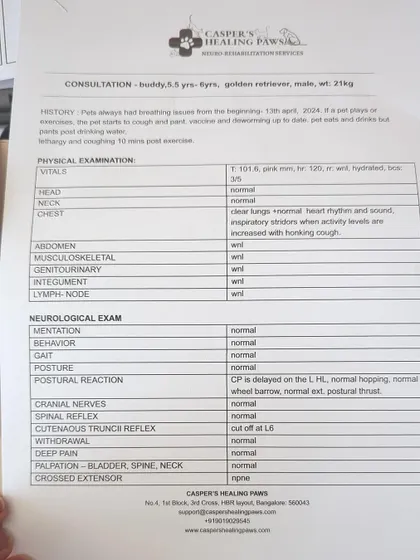 The detailed physical and neurological exam report for Buddy. This level of care is what we strive for with every rescue.