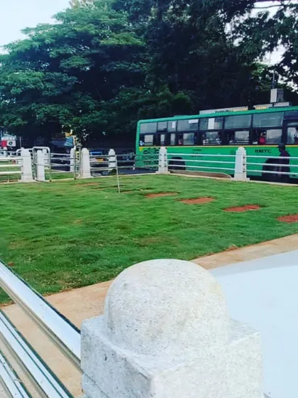 Another view of a new lawn in a public median, surrounded by stone pillars and a safety railing.