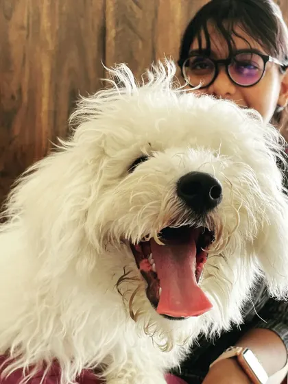 A big happy smile from Snowy while getting a hug. We provide constant reassurance and love, which is especially important for dogs in a new environment.