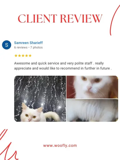 A quick, awesome service with polite staff is what I aim for. Thank you for appreciating my work and for the future recommendation.