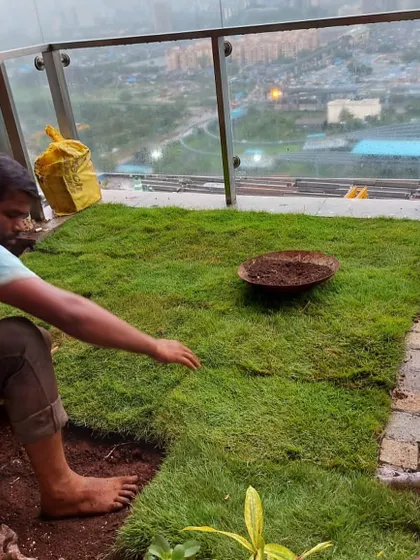 The process of laying down fresh rolls of natural grass on a terrace, instantly creating a soft, green lawn.