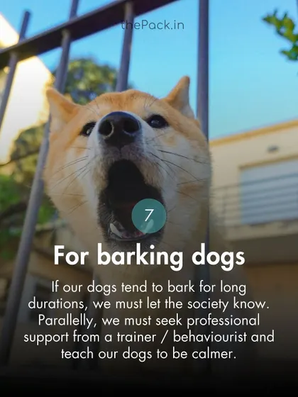 If your dog barks excessively, it's important to seek professional help from a trainer while also informing your neighbors that you are working on the issue.