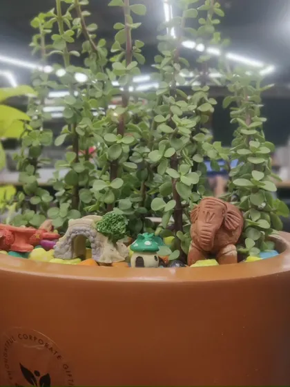 A mini-garden tray with Jade plants and charming figurines, designed to bring a bit of playful nature to a corporate desk.