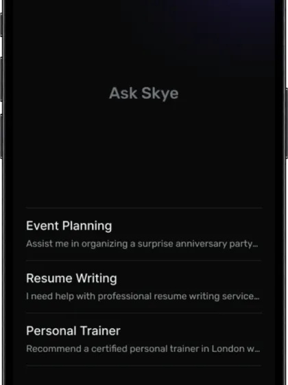 the initial state of the chat feature. it prompts the user with suggestions to guide them towards making a request.