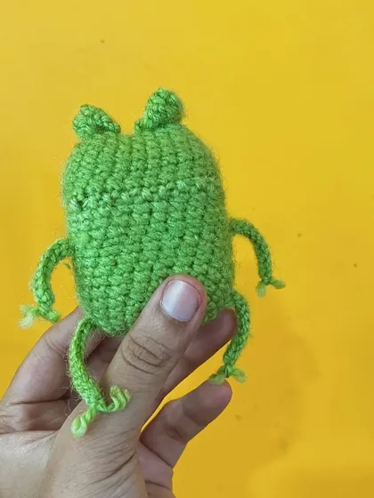 Another view of the frog case, showing its simple, pouch-like construction.