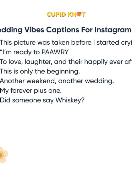This is a duplicate of the previous image, offering a selection of general wedding vibes captions.