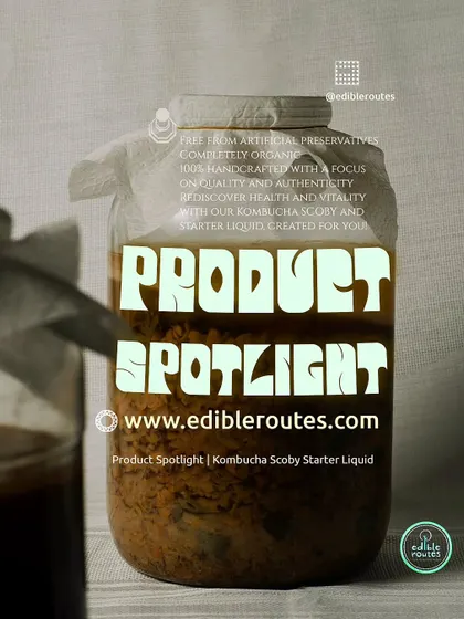 Product spotlight on our Kombucha SCOBY. In our workshops, we also cover other aspects of sustainable living, like brewing your own probiotic-rich kombucha at home.