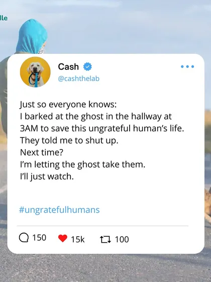 A dog's tweet: "Just so everyone knows: I barked at the ghost in the hallway at 3 AM to save this ungrateful human's life. They told me to shut up. Next time? I'm letting the ghost take them."