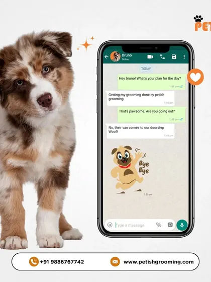 Even pets text about their plans! This fun chat shows one dog telling another about his upcoming grooming appointment with my mobile van.