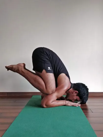 Working on Pincha Mayurasana (Feathered Peacock Pose), an advanced inversion that requires significant shoulder and core strength.