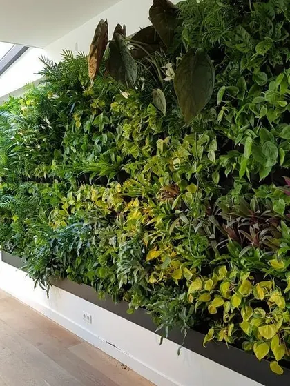 An indoor living wall in a well-lit space, likely a home or office cafeteria. The lush, varied foliage helps improve air quality and creates a calming environment.