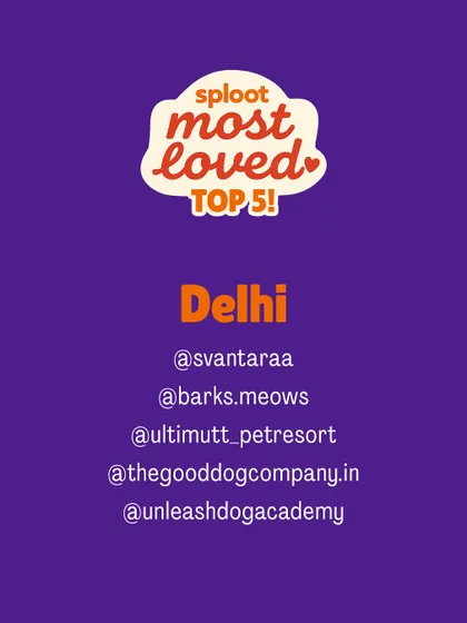 Here are the Top 5 'Sploot Most Loved' boarding centers for Delhi NCR. We are proud to feature these community-approved homes that provide exceptional care and peace of mind.