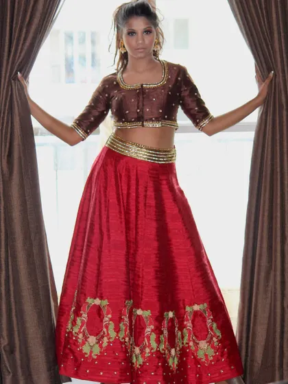 This smart and elegant look features a rich brown embroidered blouse paired with a vibrant red raw silk skirt. It's a sophisticated choice for any festive occasion or wedding party.