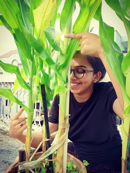 I couldn't contain my excitement when I saw the first signs of corn. Pointing it out like a proud kid.