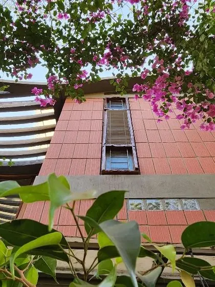 A view looking up at our studio in spring, with bougainvillea blooms framing the clay block facade. This is how we envision our buildings: living structures that change with the seasons and are adorned by nature.