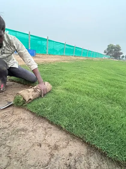 A worker carefully cuts and lifts a section of turf. This precision ensures the grass roll is of a consistent thickness and quality.