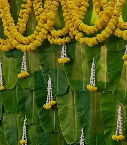 A detail shot of the marigold and jasmine flower hangings against the fresh green banana leaf wall, a classic combination for auspicious occasions.