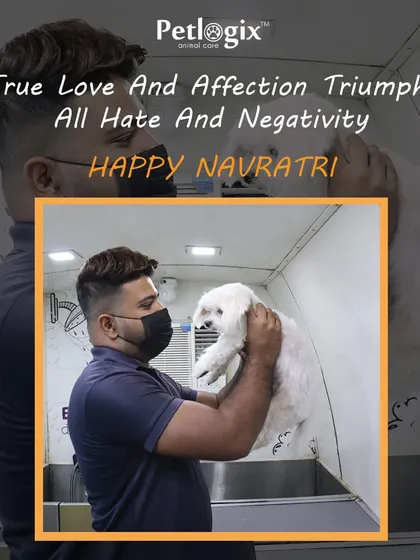 True love and affection triumph over all. We believe in treating every pet with kindness, as shown by our groomer's gentle hold. Happy Navratri.