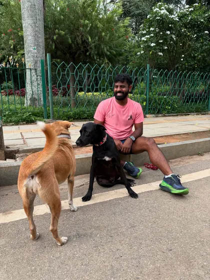 A sweet moment of interaction between two of the park dogs while I sit with them.