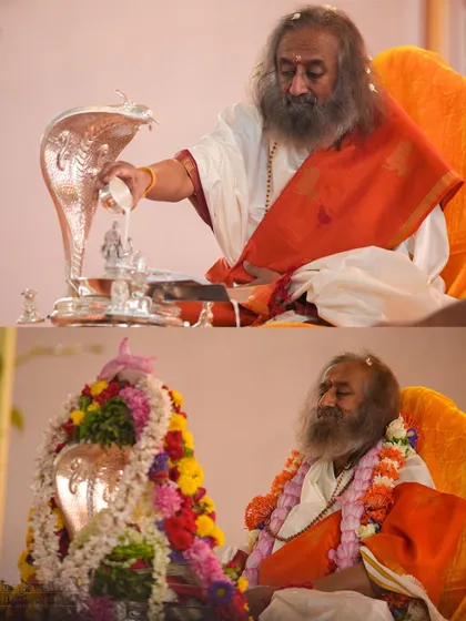 A collage of me performing the Abhishekam ritual during a homa. The pouring of sacred liquids over the lingam is a central part of our worship, symbolizing purification and grace.