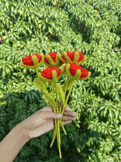 A handful of five red open tulips.