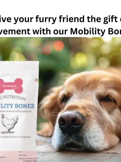Give your furry friend the gift of movement. My Mobility Bones, made with chicken wings and turmeric, are designed to boost mobility and flexibility, keeping your dog active and happy.