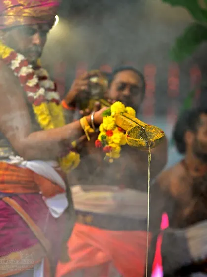 A priest pours ghee into the sacred fire during the Shat Chandi Homa. Each offering is made with a specific mantra to invoke different aspects of the divine energy.