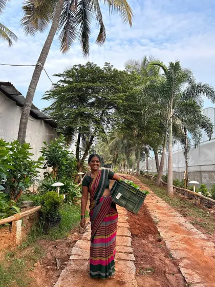 This is Sharanamma, one of the joyful, hardworking members of our team. Her smile reflects the pride we take in our work, bringing fresh produce from our farm to your table.