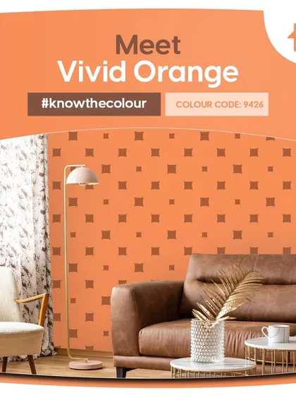 My "Better Half" and "Know the Colour" series explore unique color pairings and deep dives into specific shades. Let these ideas inspire you to create a truly unique and harmonious color story in your home.