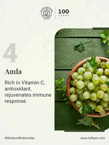 Rich in Vitamin C and antioxidants, Amla is a key component of our wellness approach. It helps rejuvenate the immune system and protect the body from oxidative stress.