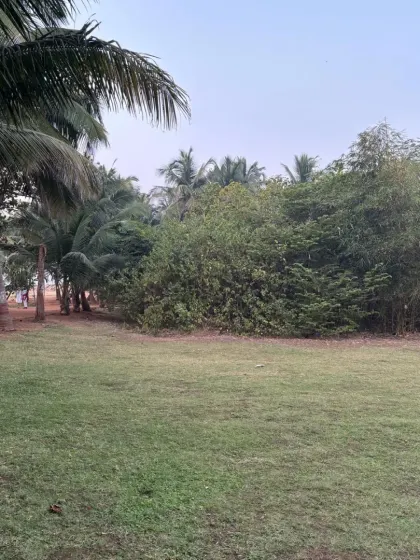 The lush greenery of the park is a testament to our commitment to preserving nature. These open spaces are perfect for warm-ups, cool-downs, or simply relaxing.