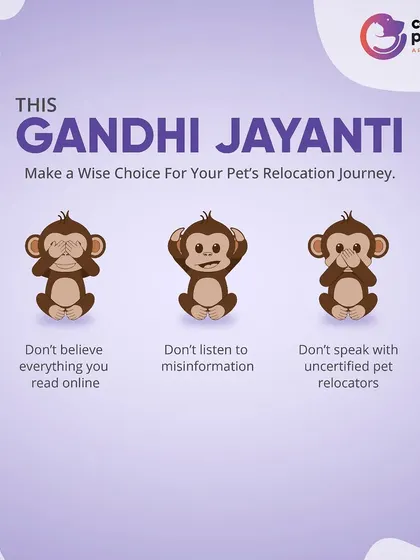 This Gandhi Jayanti, I encourage you to make a wise choice for your pet's journey: don't believe everything online, don't listen to misinformation, and don't work with uncertified relocators.