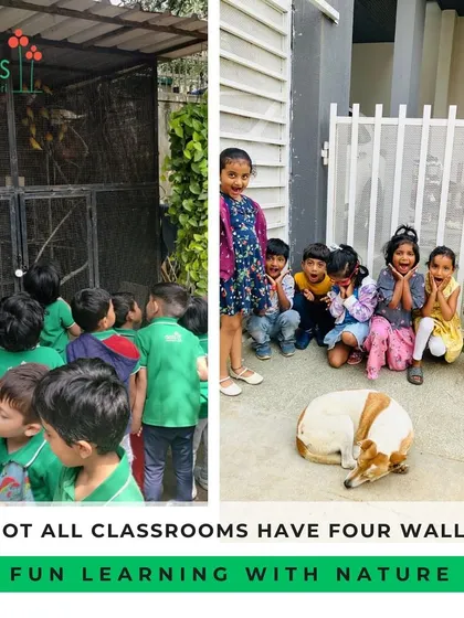 On our nature walk, we encountered some friendly animals. These experiences teach children to be gentle and respectful towards all living creatures, fostering empathy and a connection to the animal kingdom.