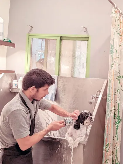 A glimpse into our bathing station. We use professional-grade equipment and maintain the highest standards of cleanliness and hygiene.