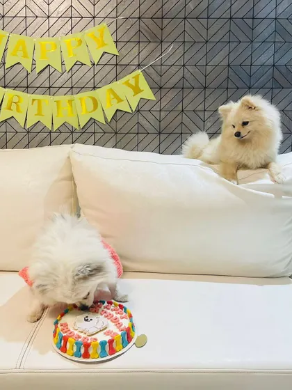 Birthday girl Phoebe, in her adorable crochet dress, getting ready to dig into her cake while her sibling looks on. These are the moments I bake for.