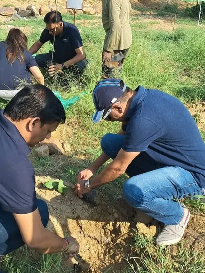 Two Bacardi employees carefully plant a sapling, part of a collective effort to reverse years of neglect and abuse at the Aravali Nagar Van site.