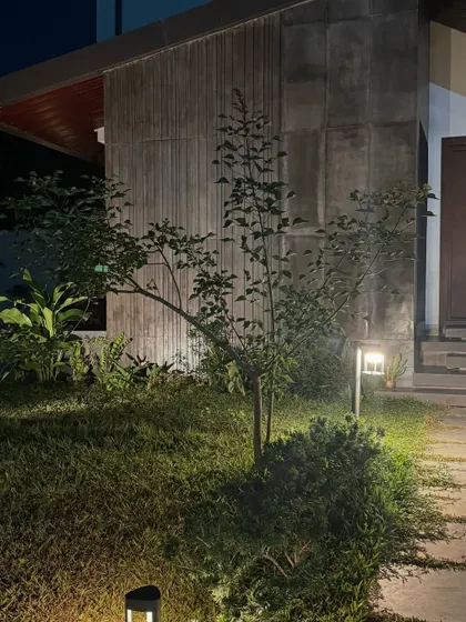The architectural lines of this modern home and the delicate branches of a young tree are highlighted by carefully placed outdoor lights. This shows how lighting can connect the house and garden at night.