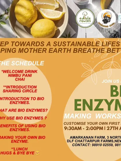 The detailed schedule for our Bio-Enzyme making workshop, from the welcome drink to the hands-on session.