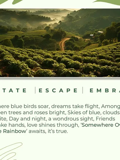 A visual summary of our 'Somewhere Over The Rainbow' project, encapsulating the themes of Estate, Escape, and Embrace in a single, powerful image.